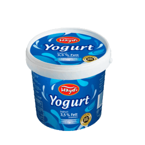 Haydi Joghurt 3,8% Fett -10kg