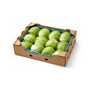 Eisbergsalat pro Kiste