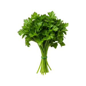 Petersilie frisch